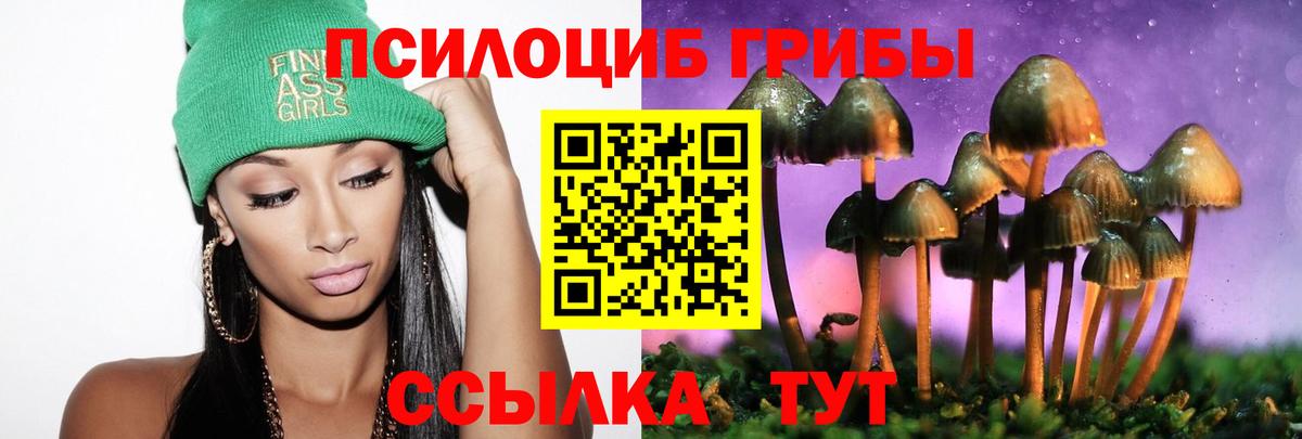 Дзержинск  Псилоцибиновые грибы Psilocybine cubensis  Вход с VPN 